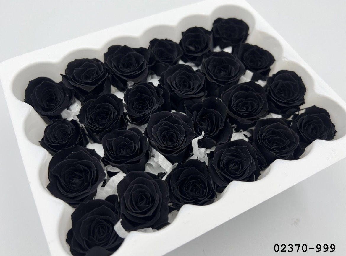 日本不凋迷你玫瑰(24朵) 02370-999