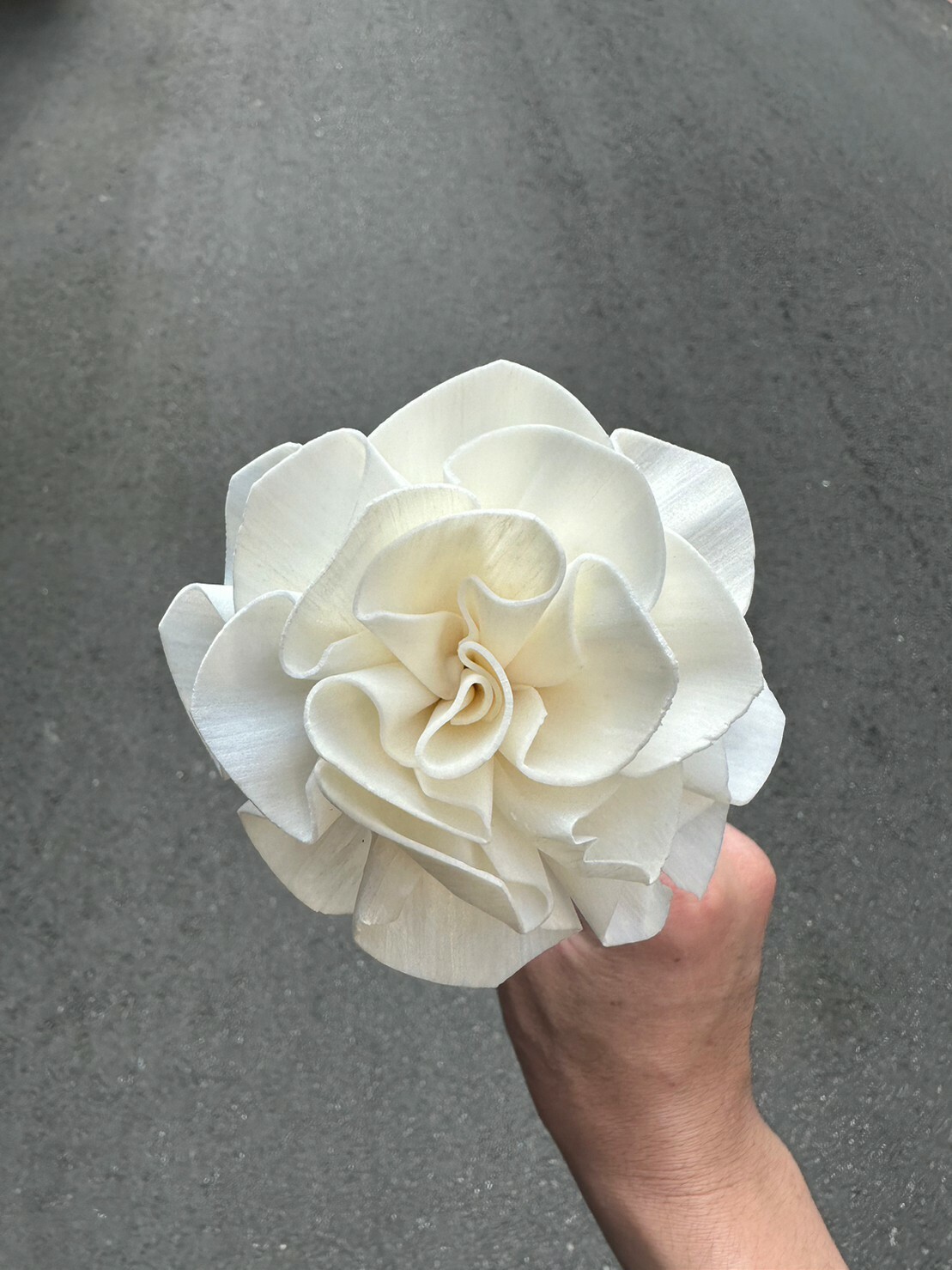 泰國索拉花- 山茶花 8cm <5支一把> (高品質)