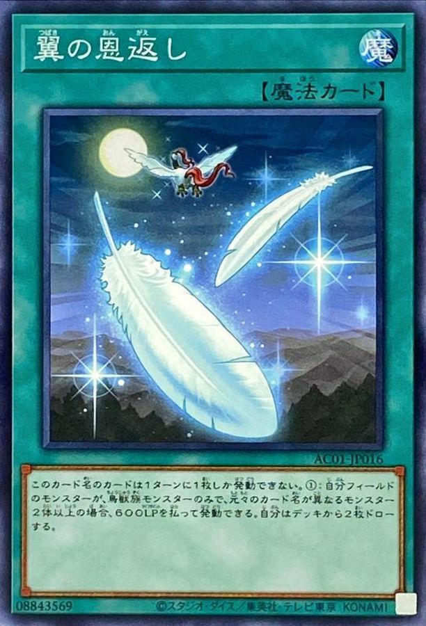 AC01-JP016 翼の恩返し