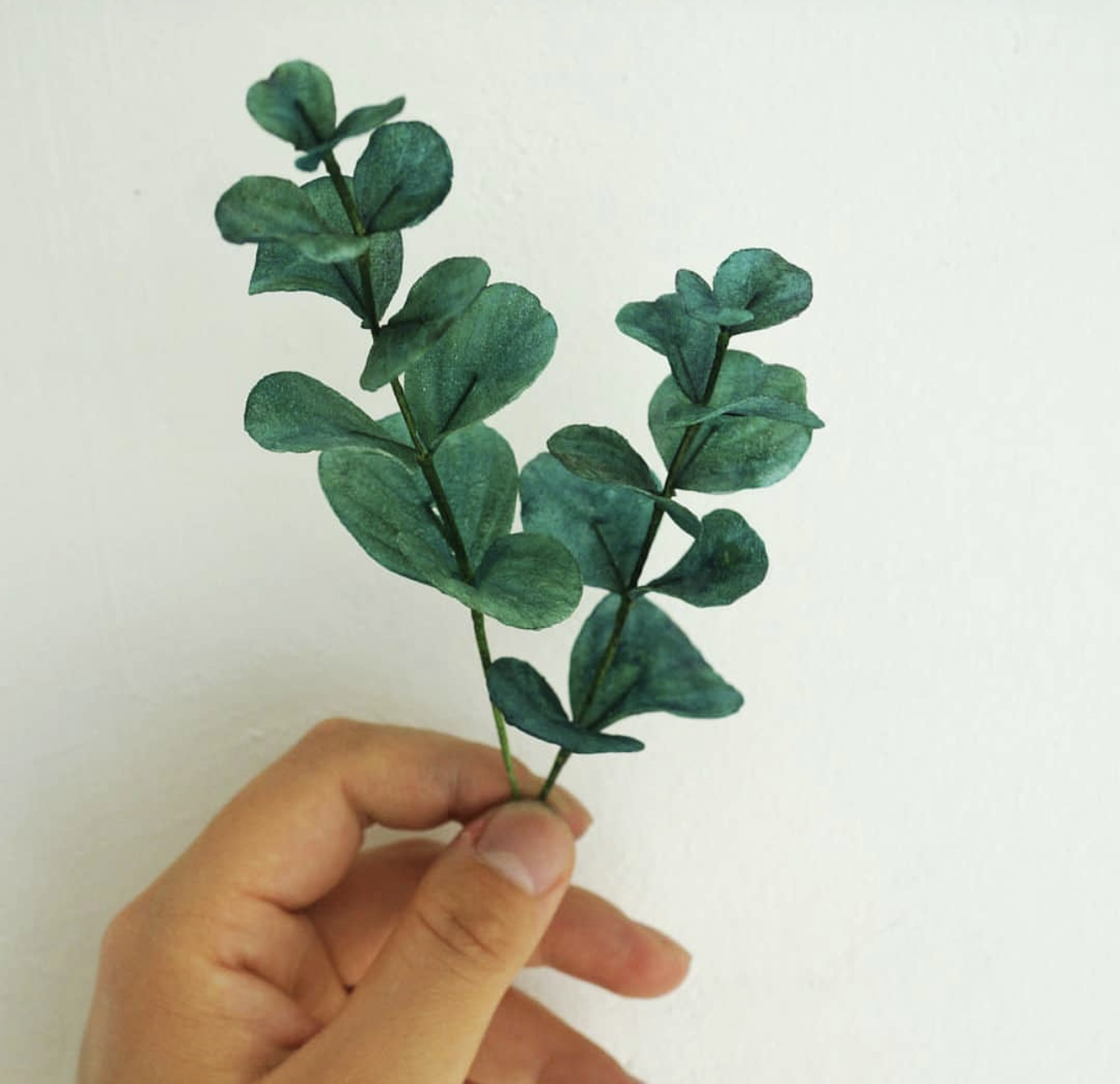 威化紙花班(B班: 毛莨, 尤加利)