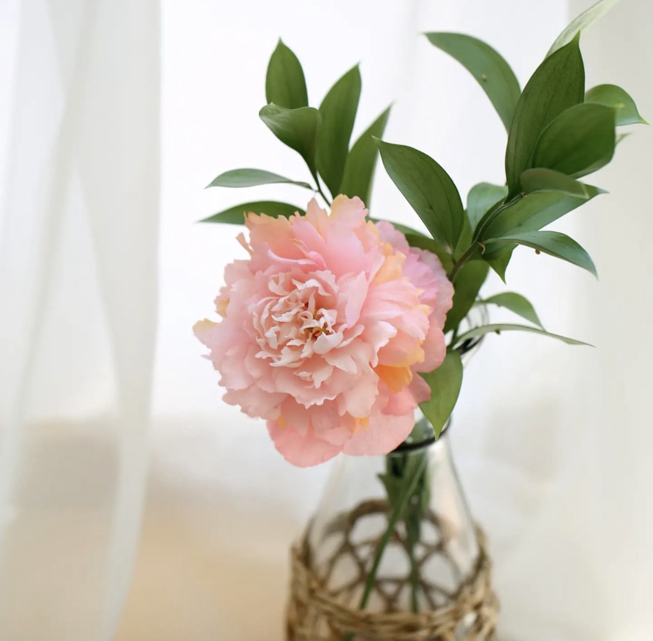 威化紙花班(C班: 牡丹, 飛燕草)