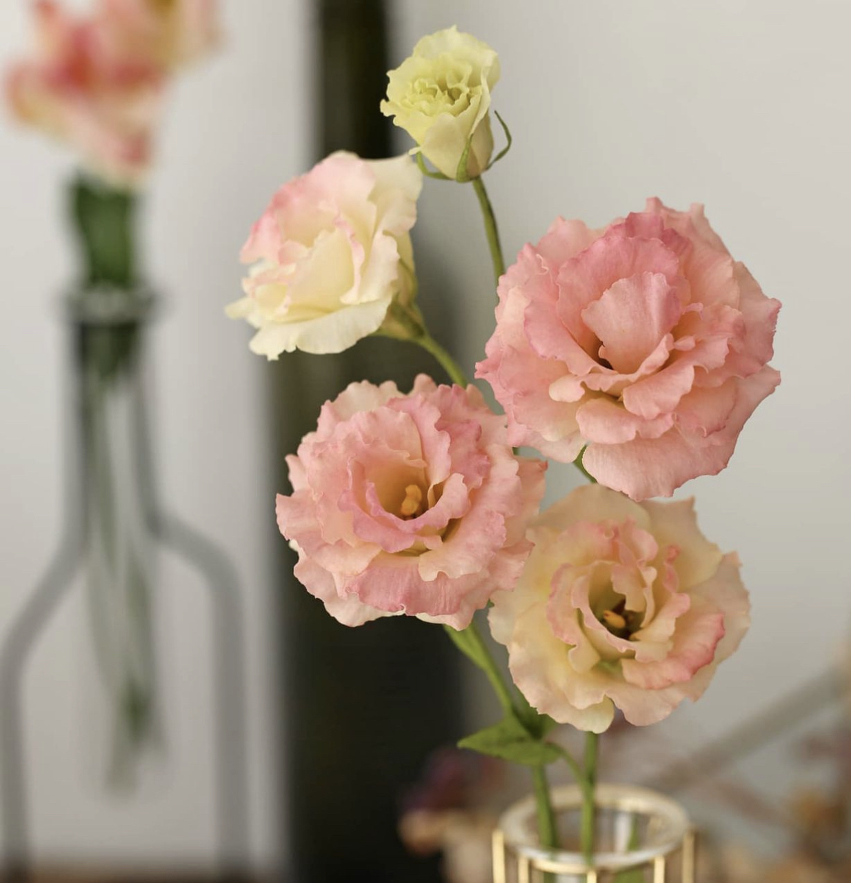 威化紙花班(D班: 蝴蝶毛莨, 桔梗)