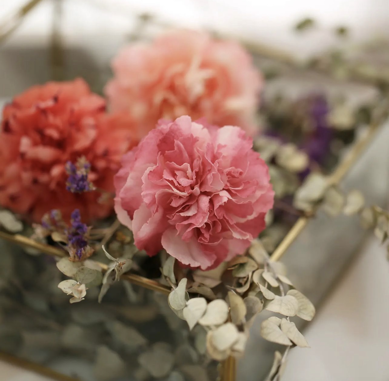 威化紙花(G班: 康乃馨, 小雛菊)