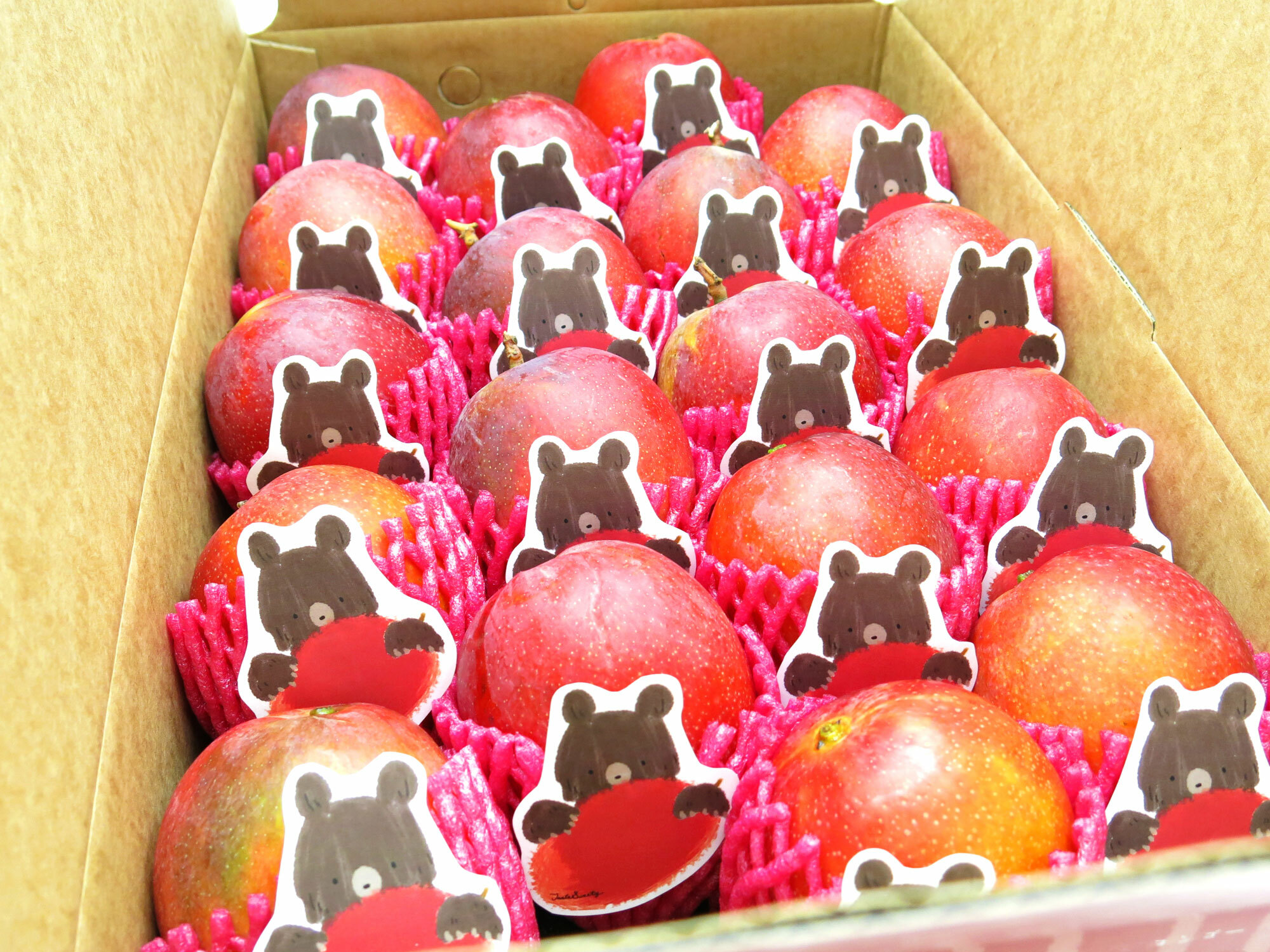 格紋芒果熊玉井愛文芒果禮盒特級18粒10台斤裝(8-9台兩/粒)