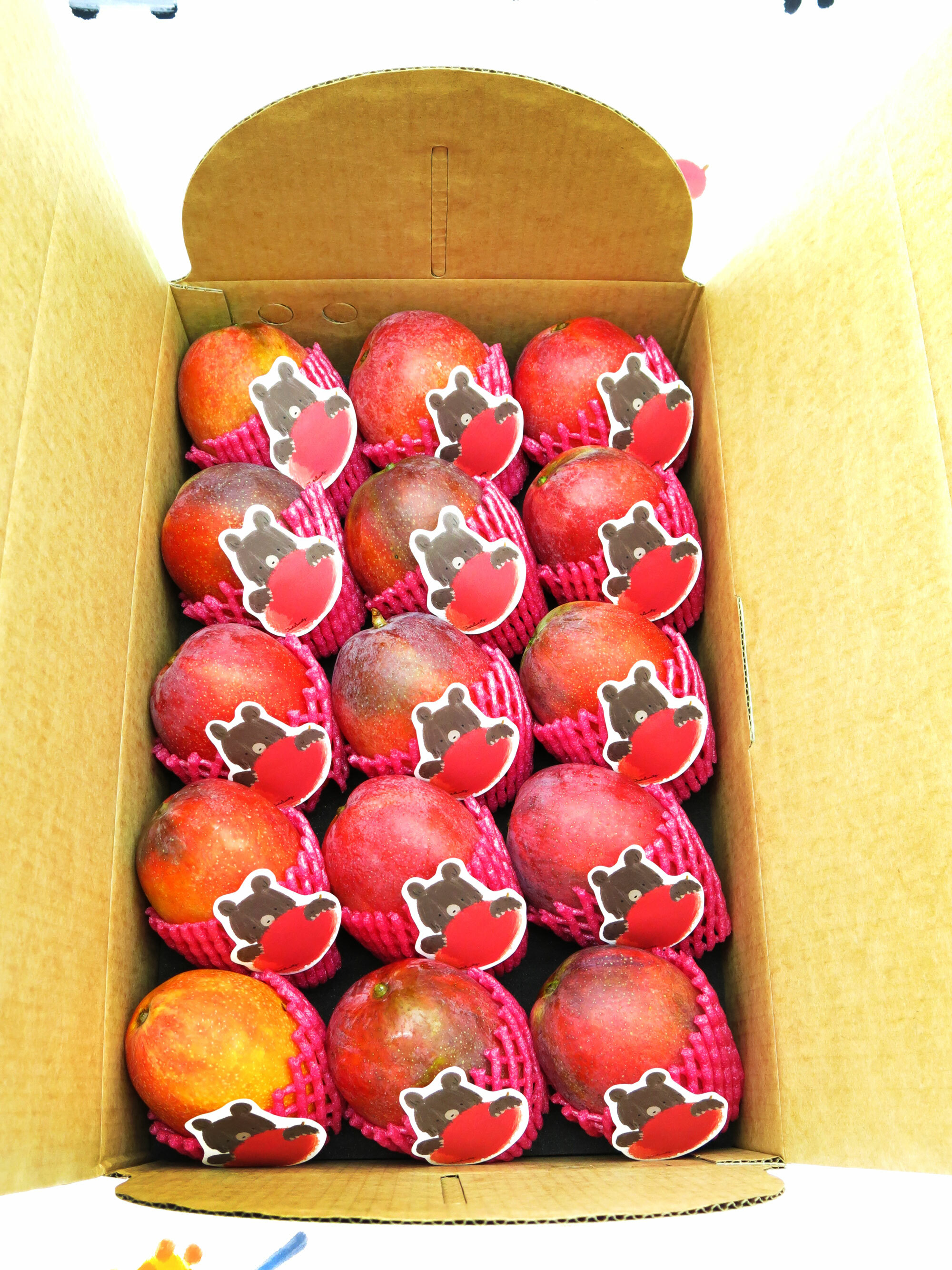 格紋芒果熊枋山愛文芒果禮盒特級15粒10台斤裝(10-11台兩/粒)