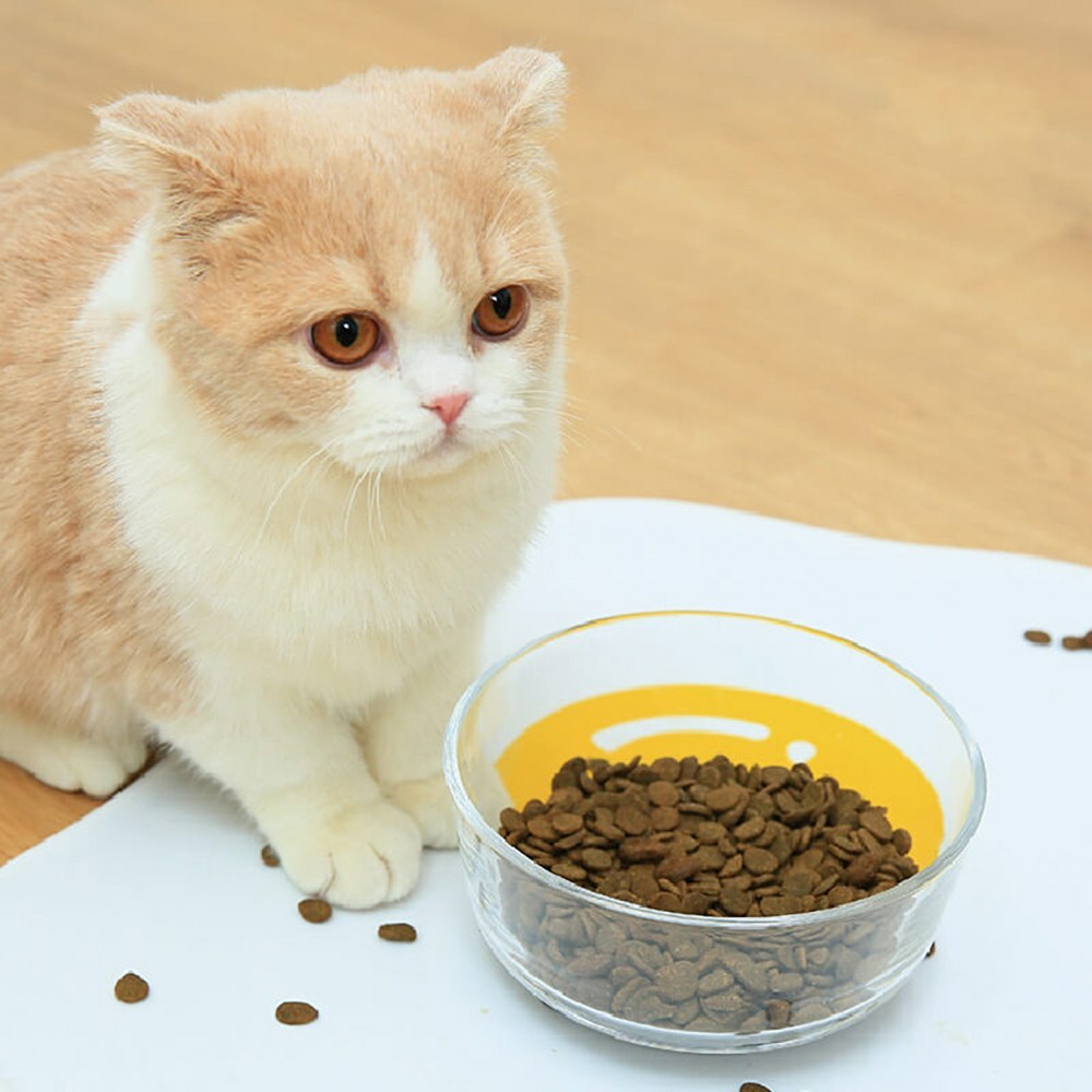 PURLAB–荷包蛋餐墊