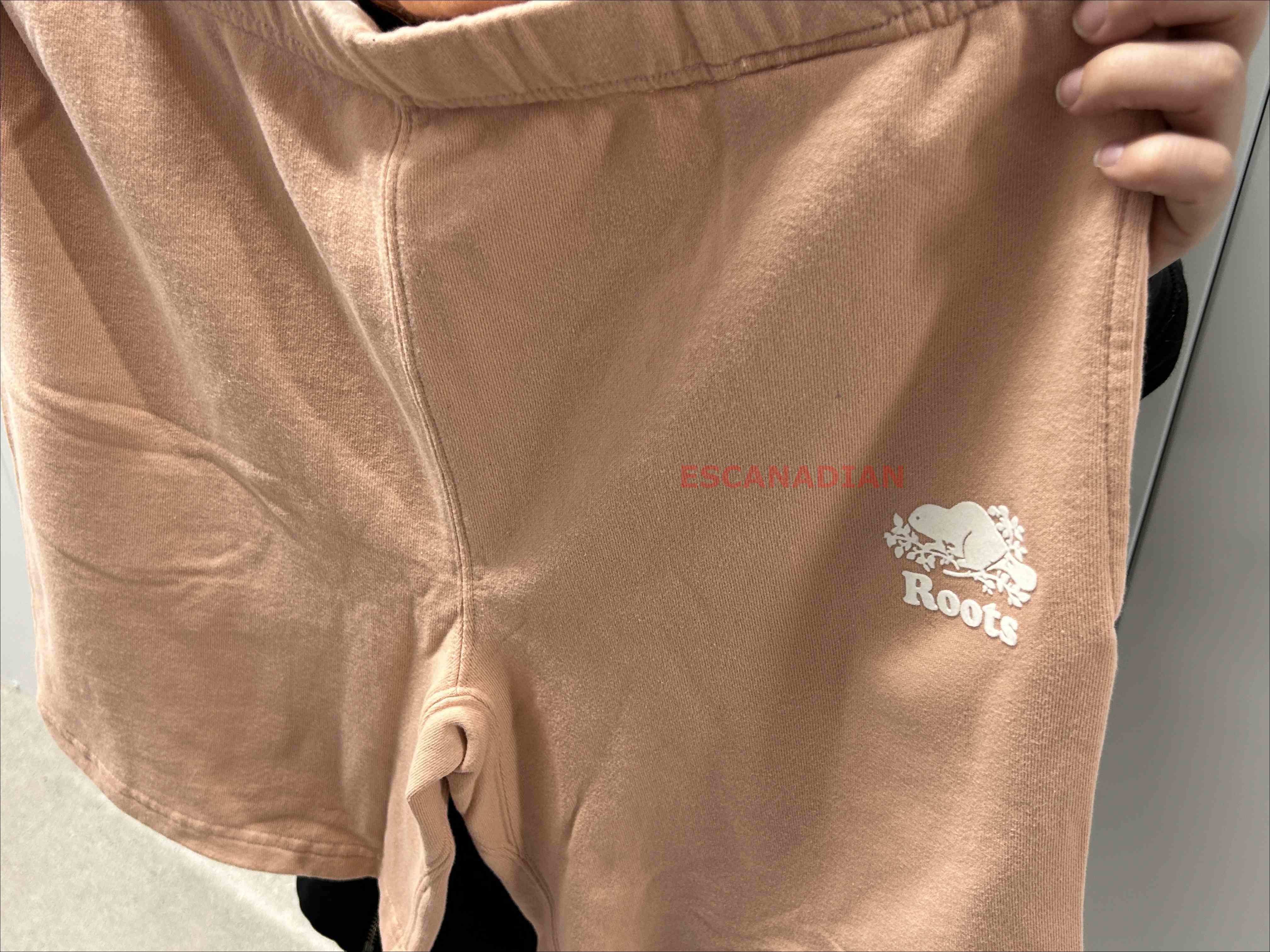 ROOTS 男大人 經典款 海狸 棉短褲