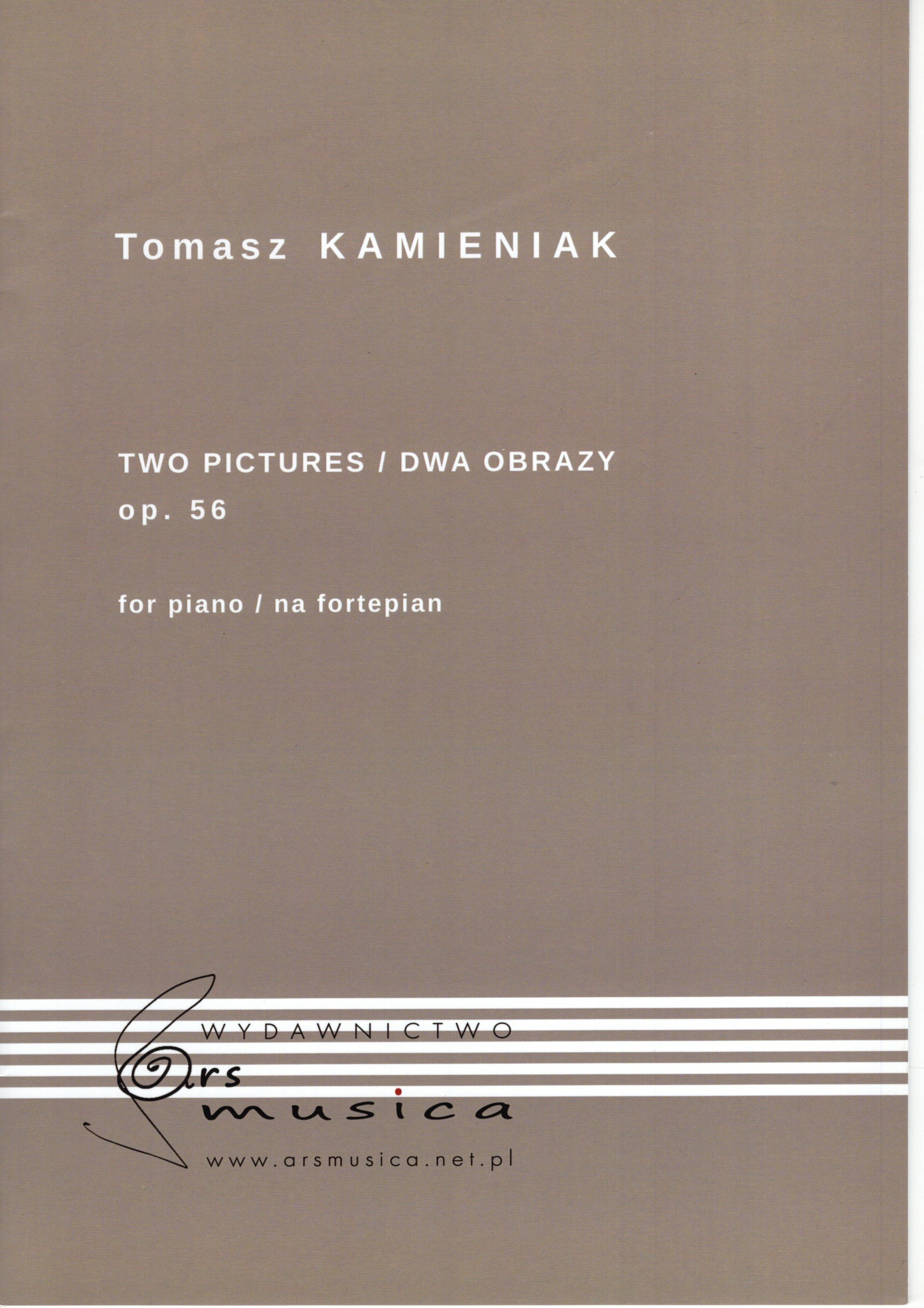 《Kamieniak Tomasz：Two Pictures / Dwa Obrazy》