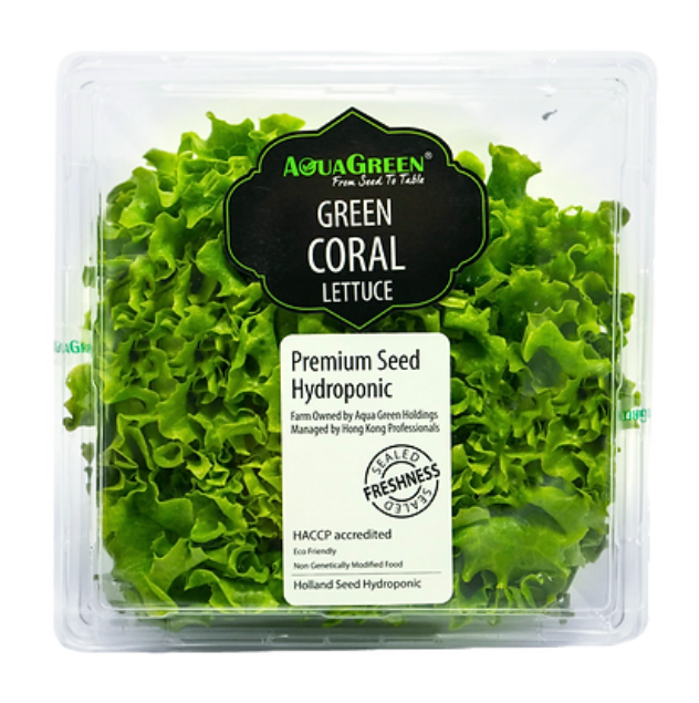 Green Coral Lettuce AquaGreen / China / 120g