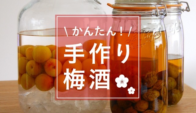 世界知名梅酒(UMESHU)其實是家庭的味道！？