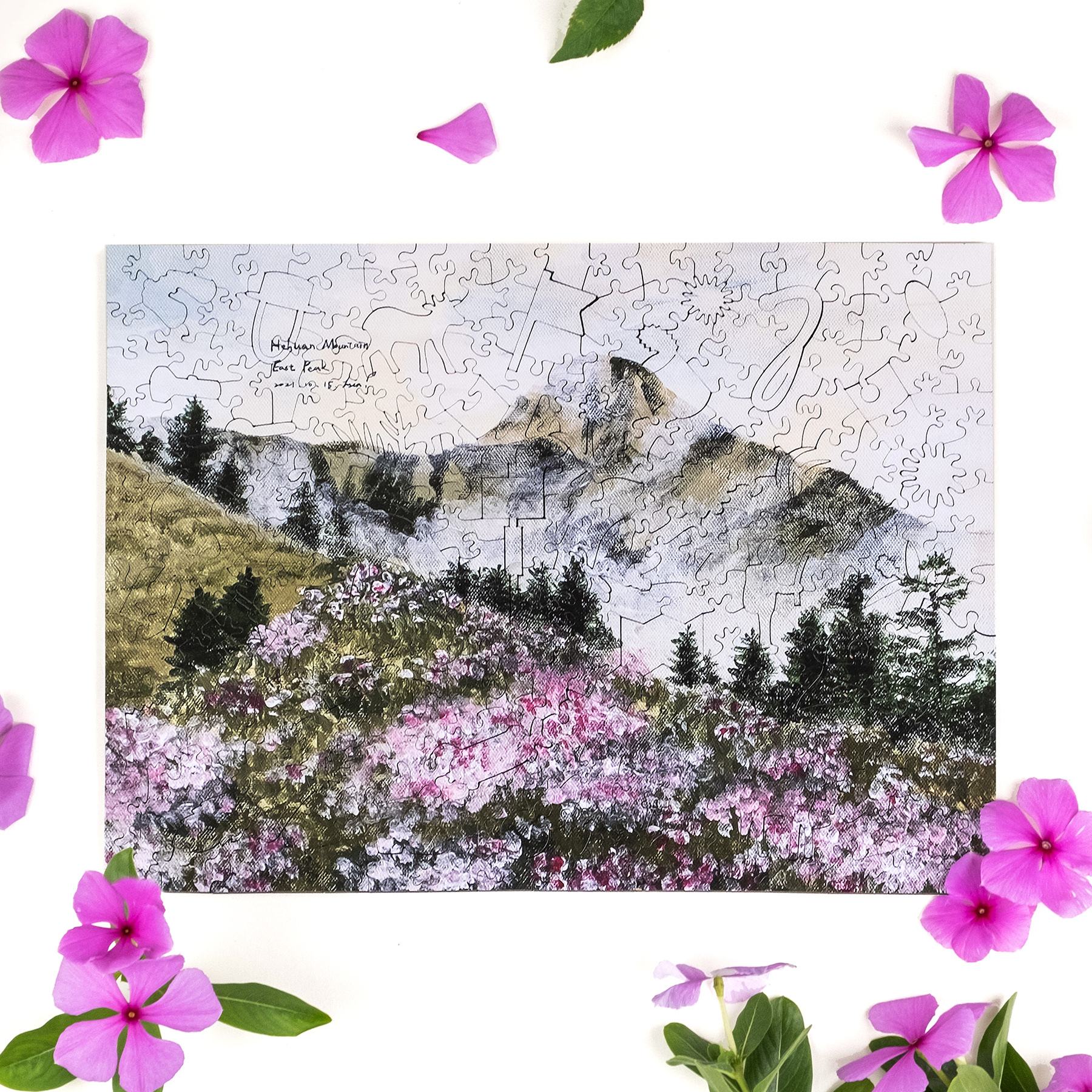 一年高山-May. 合歡東峰