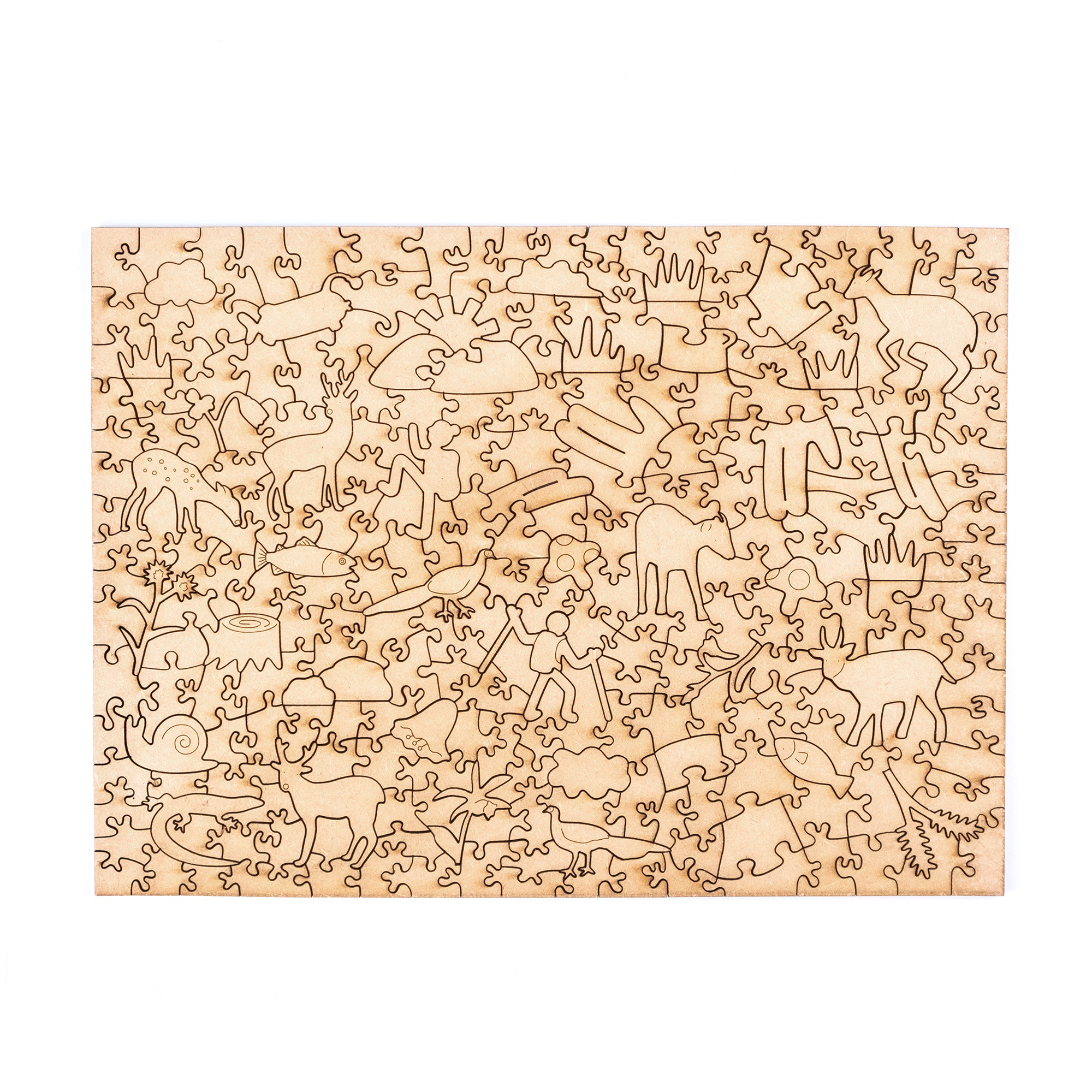 一年高山-Jun. 白石池