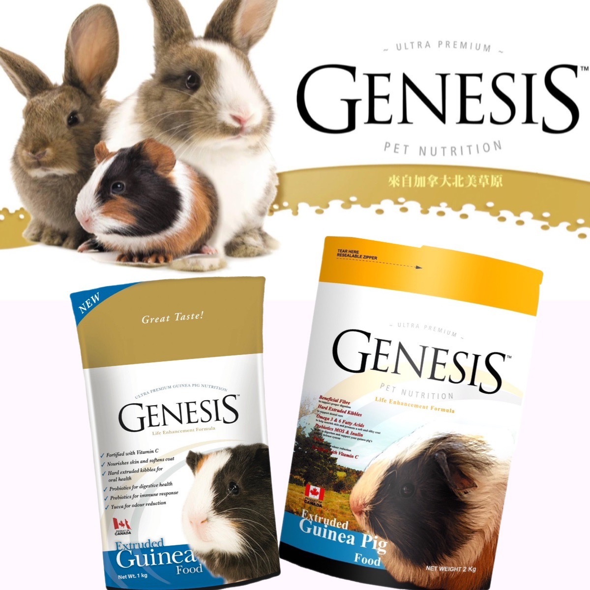 【創世紀】高級天竺鼠寵物食譜 天竺鼠糧 天竺鼠飼料 #