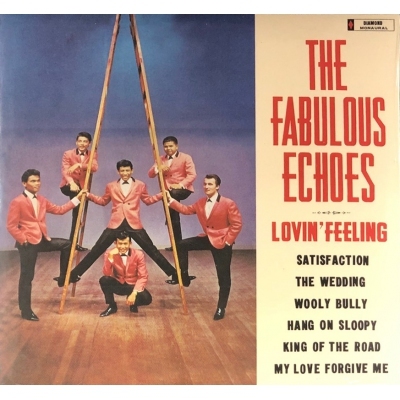 THE FABULOUS ECHOES-LOVIN FEEING(復黑王)