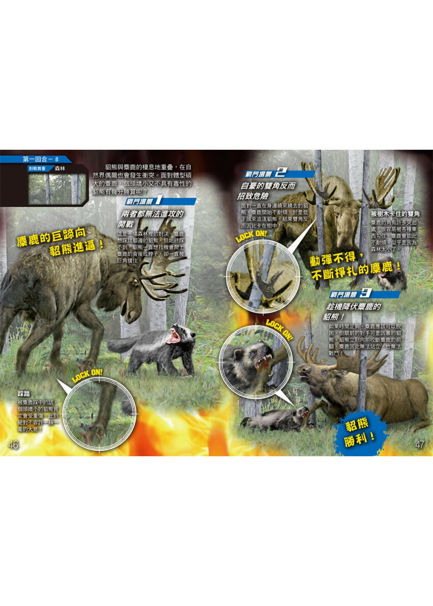 動物最強王圖鑑：NO.1爭奪淘汰賽(新版)