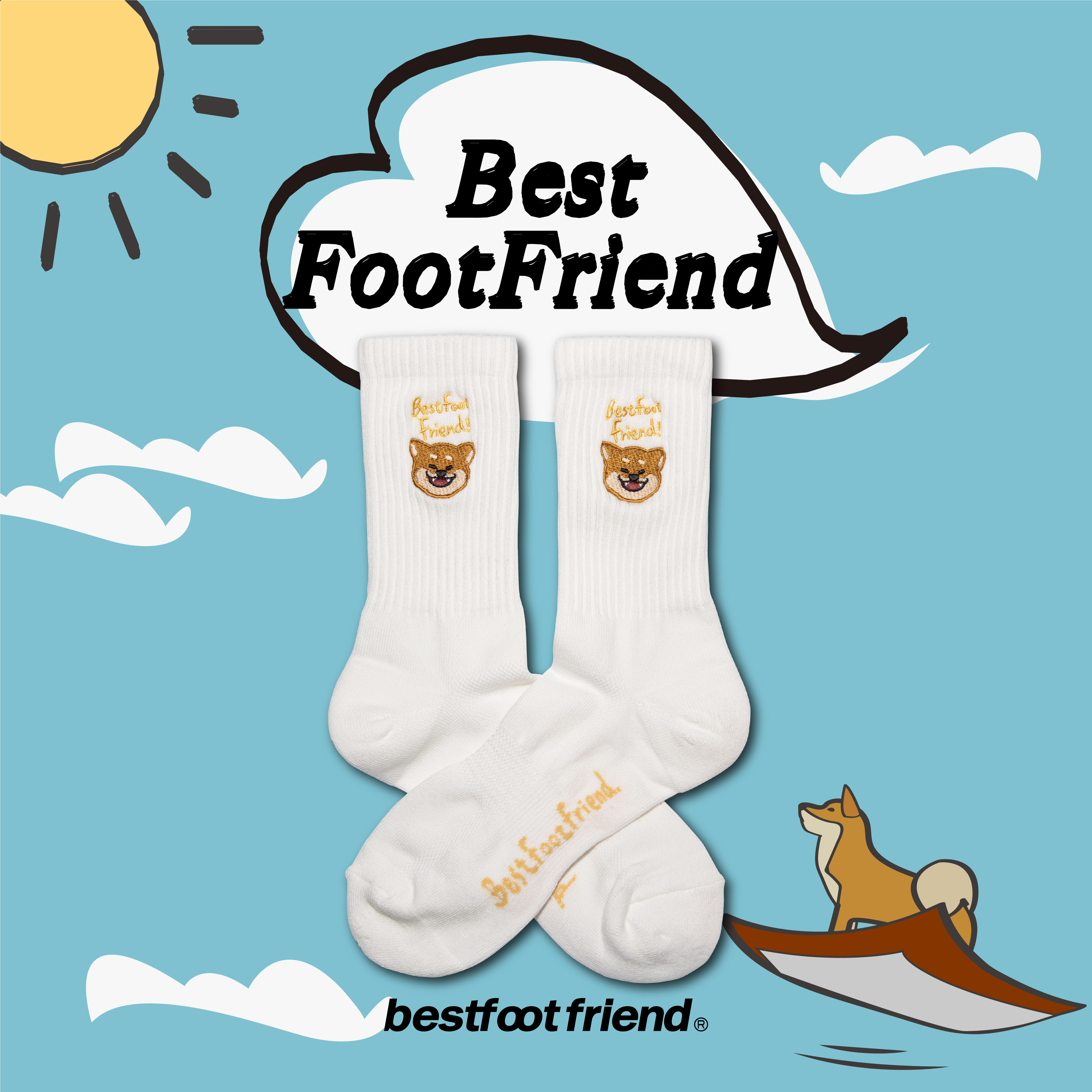 Shiba inu_WH_BF23005