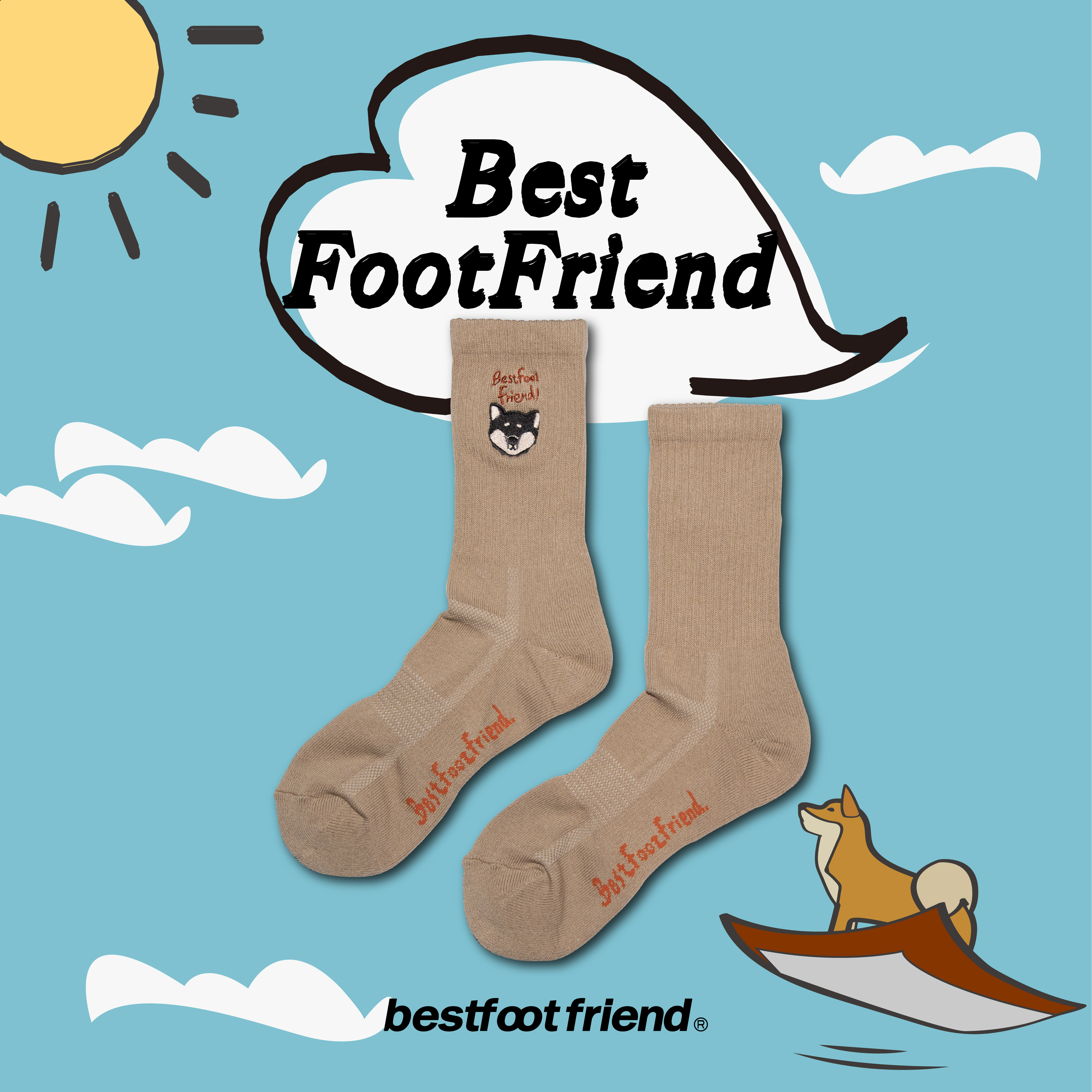 Shiba inu_SN_BF23005