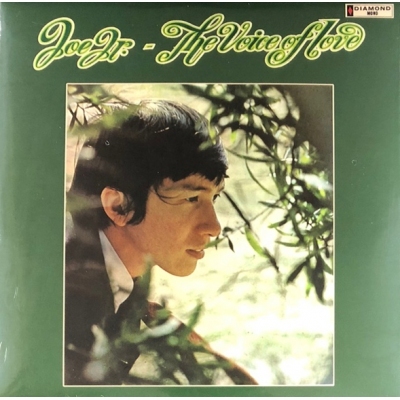 JOE JUNIOR-VOICE OF LOVE(復黑王)