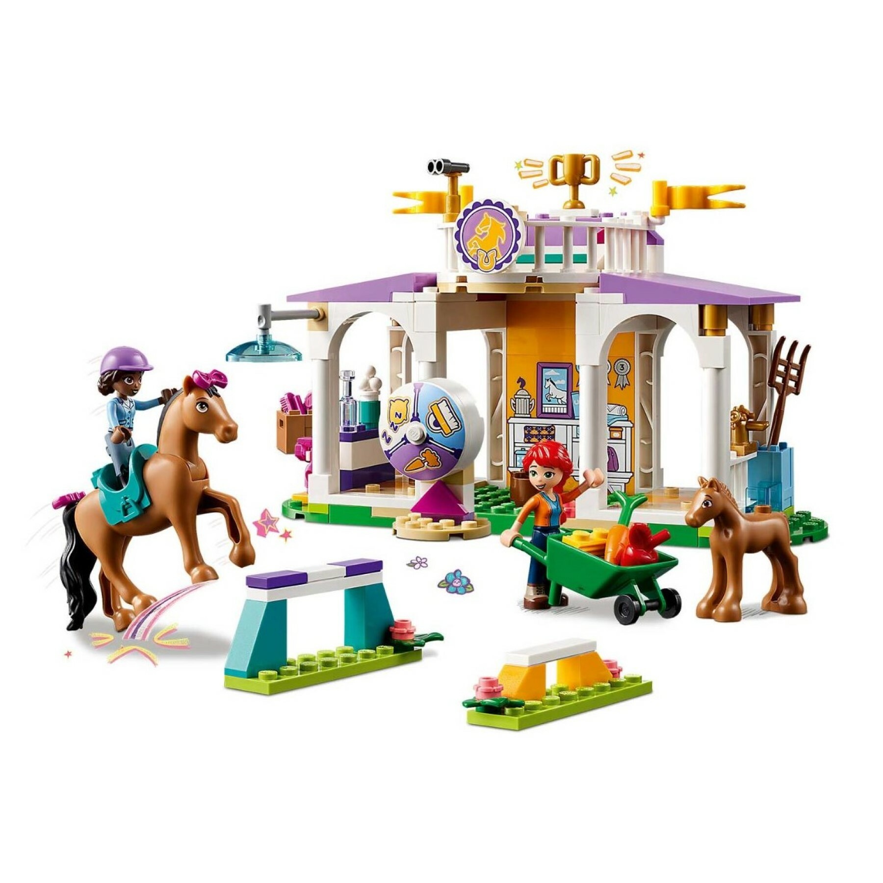 41746 - Horse Training
