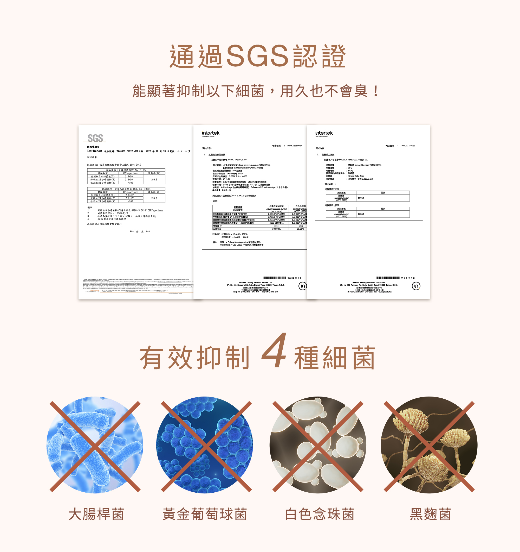 通過SGS認證能抑制以下細菌