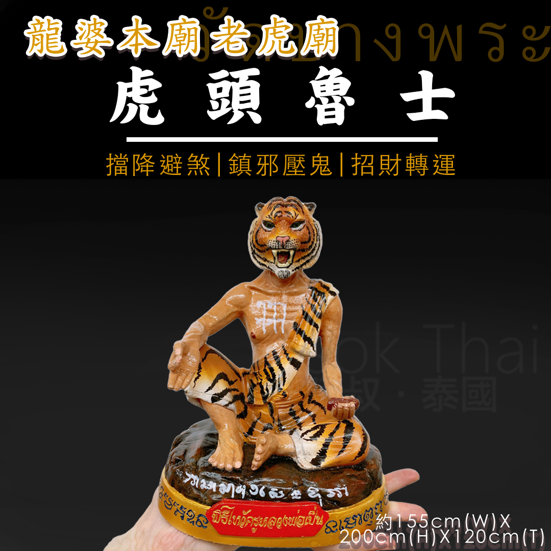 龍婆三安 🐯虎頭魯士