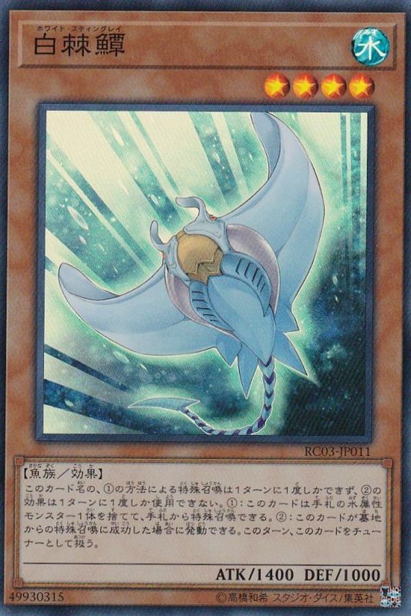 RC03-JP011 白棘鱏