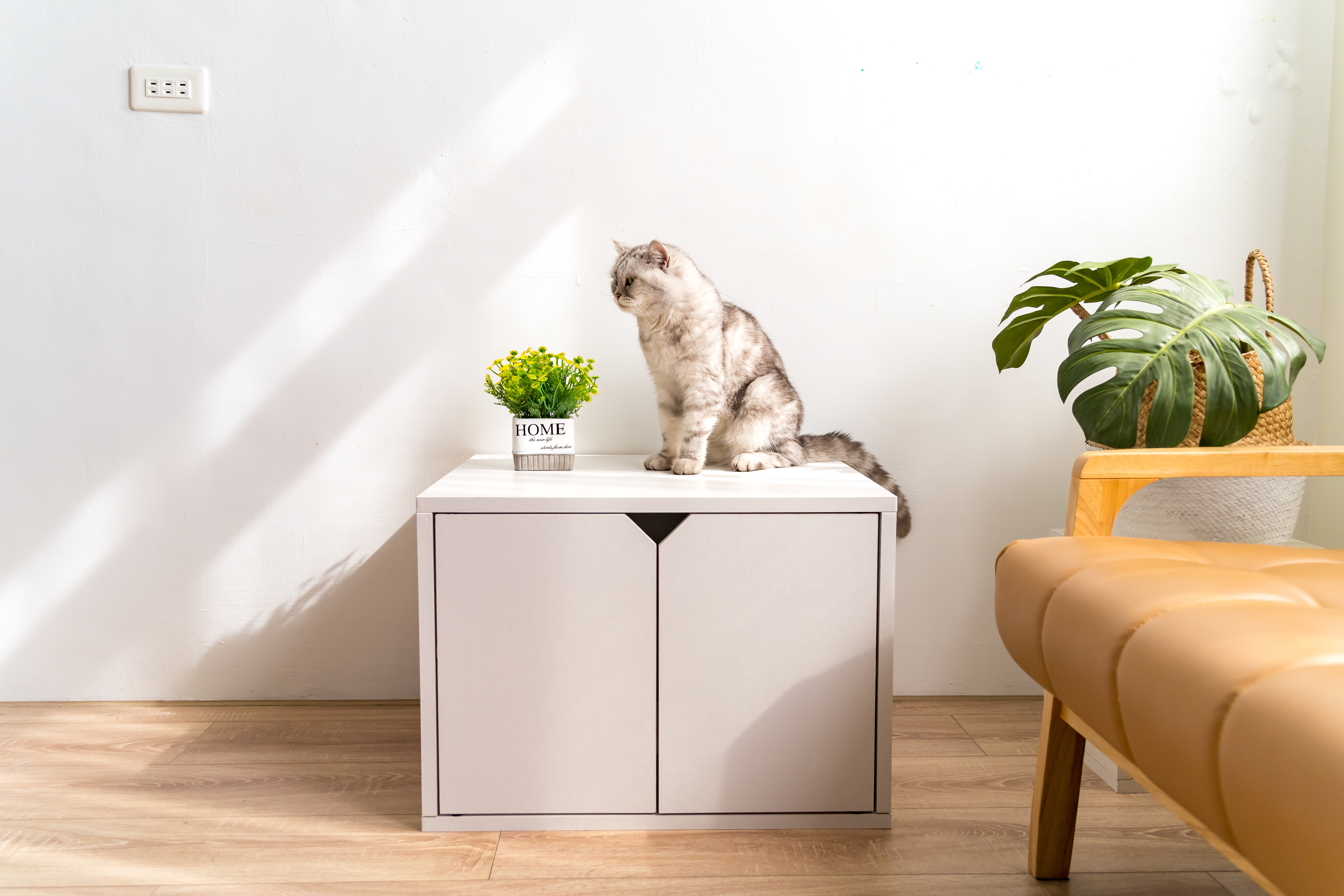 Angle Wave 小宅貓廁所 (可可棕, 清新白)