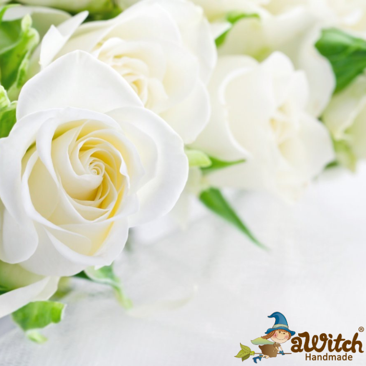 有機大馬士革白玫瑰純露 白玫瑰花水