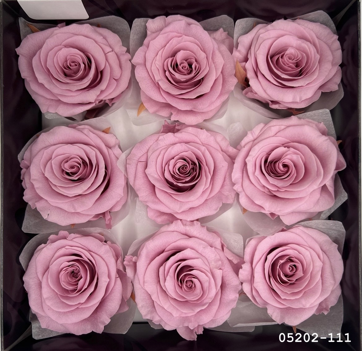 日本不凋大輪玫瑰(M-9朵) 05202-111
