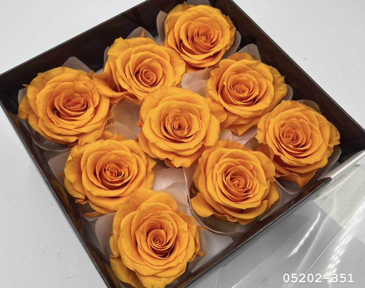 日本不凋大輪玫瑰(M-9朵) 05202-351