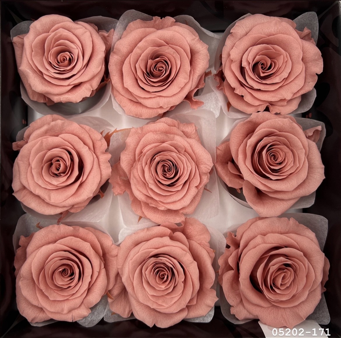 日本不凋大輪玫瑰(M-9朵) 05202-171