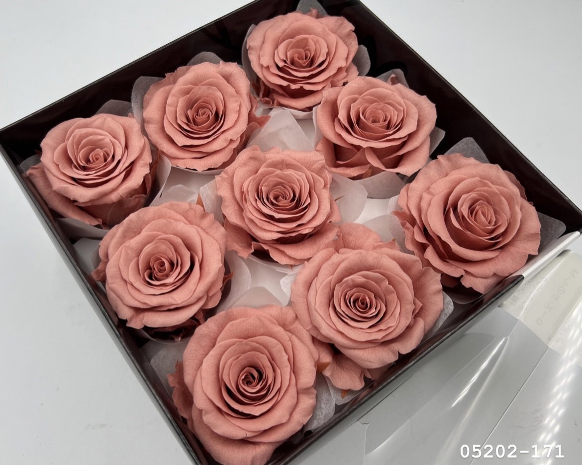 日本不凋大輪玫瑰(M-9朵) 05202-171