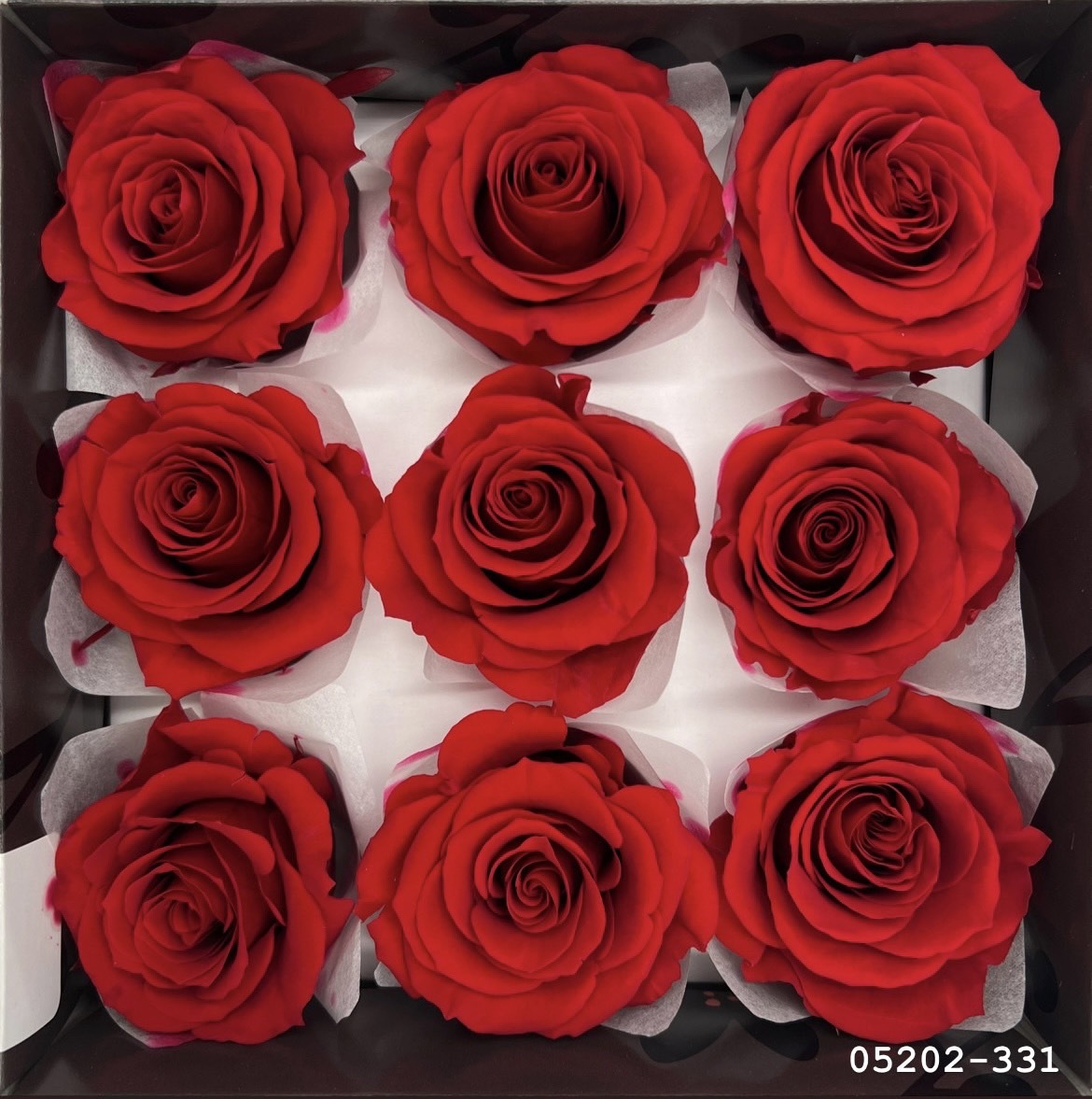 日本不凋大輪玫瑰(M-9朵) 05202-331