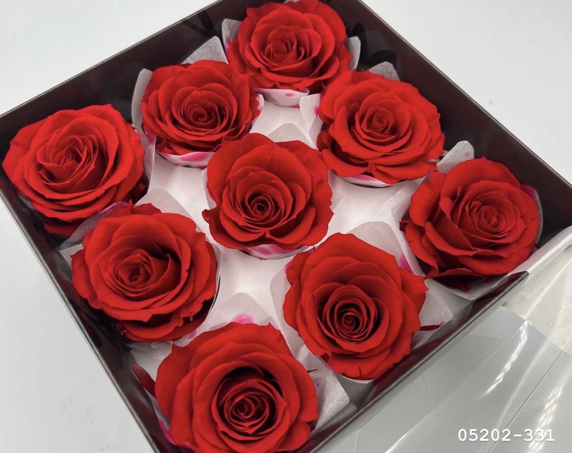 日本不凋大輪玫瑰(M-9朵) 05202-331