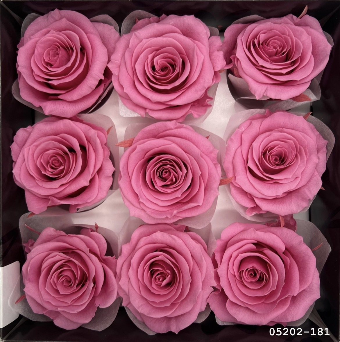 日本不凋大輪玫瑰(M-9朵) 05202-181