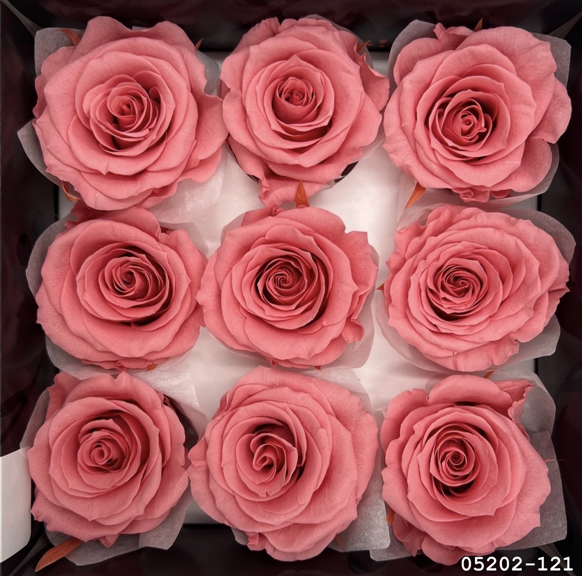 日本不凋大輪玫瑰(M-9朵) 05202-121