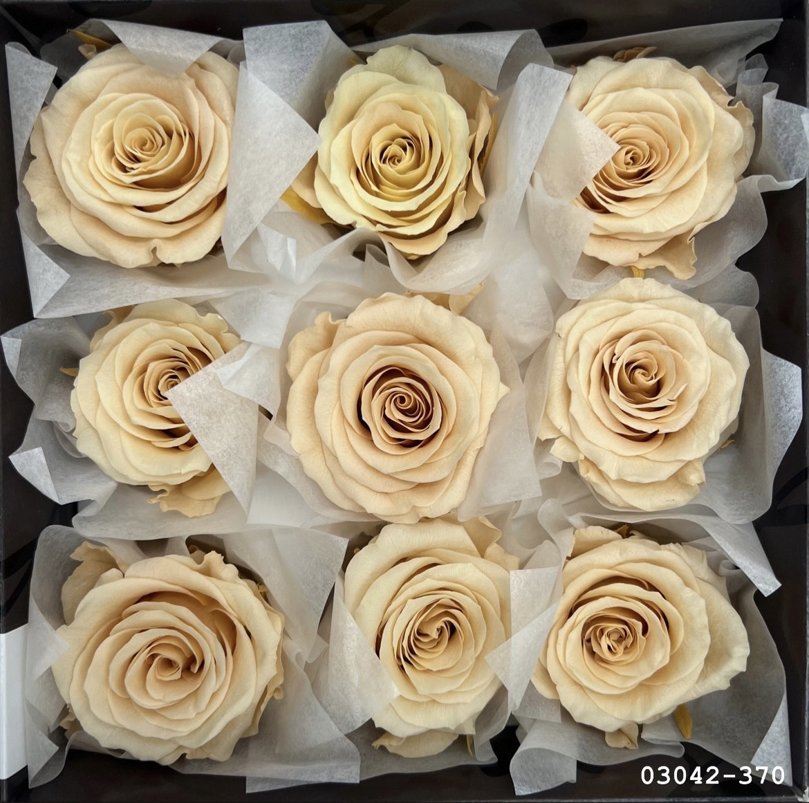 中輪玫塊 03042-370 