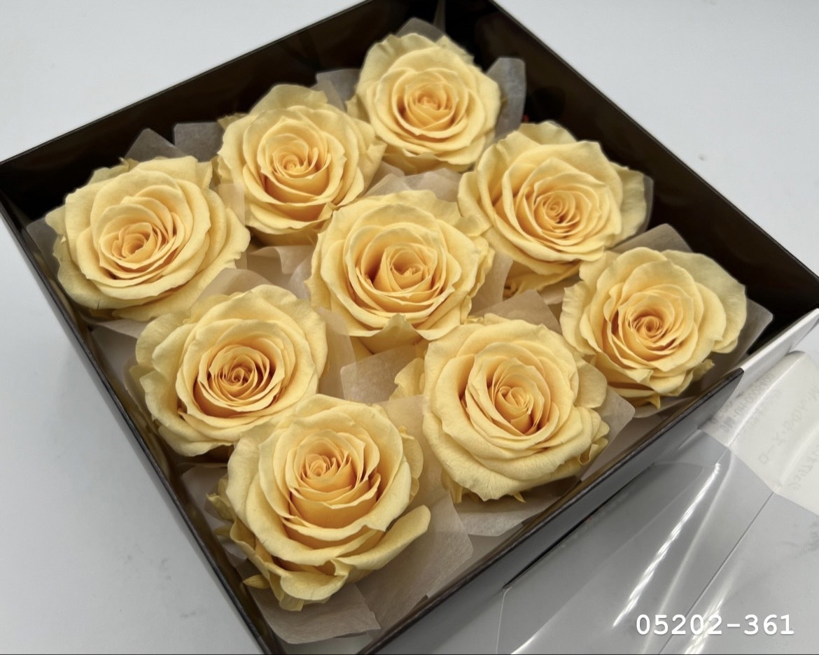 日本不凋大輪玫瑰(M-9朵) 05202-361