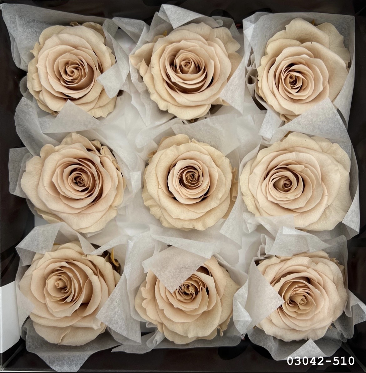 大輪玫塊 03042-510 