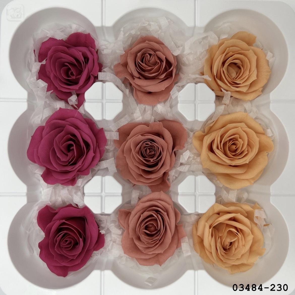 日本不凋中輪玫瑰(9朵) 03484-230