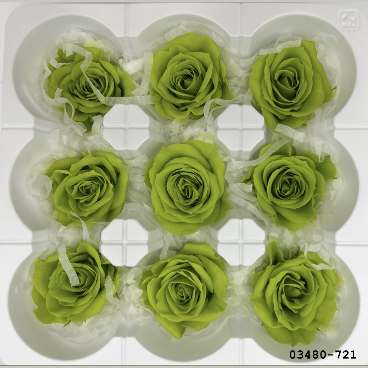 日本不凋中輪玫瑰(9朵) 03480-721