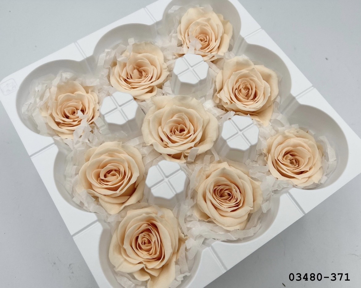 日本不凋中輪玫瑰(9朵) 03480-371