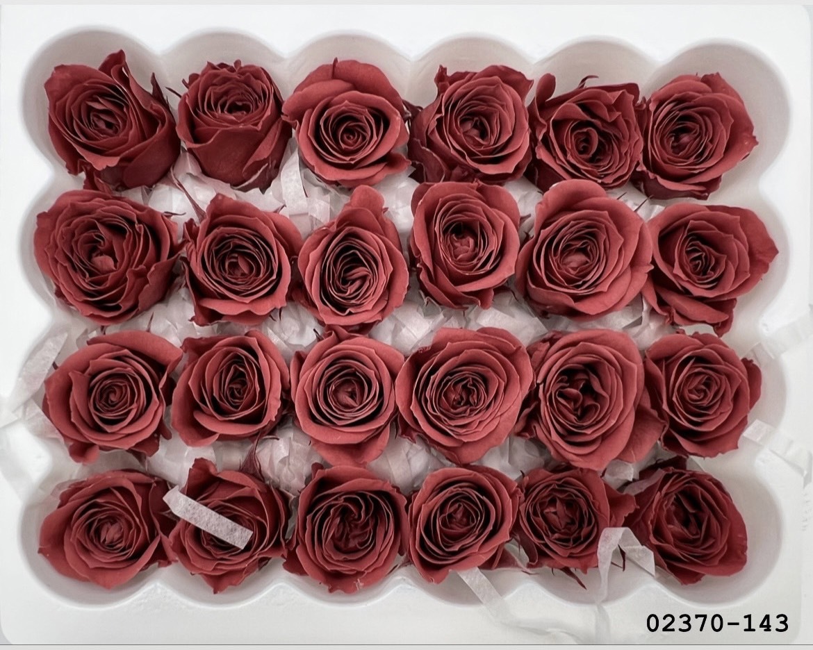 日本不凋迷你玫瑰(24朵) 02370-143