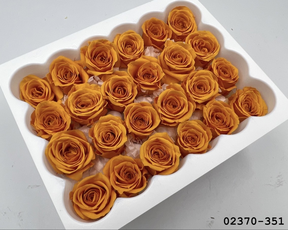 日本不凋迷你玫瑰(24朵) 02370-351