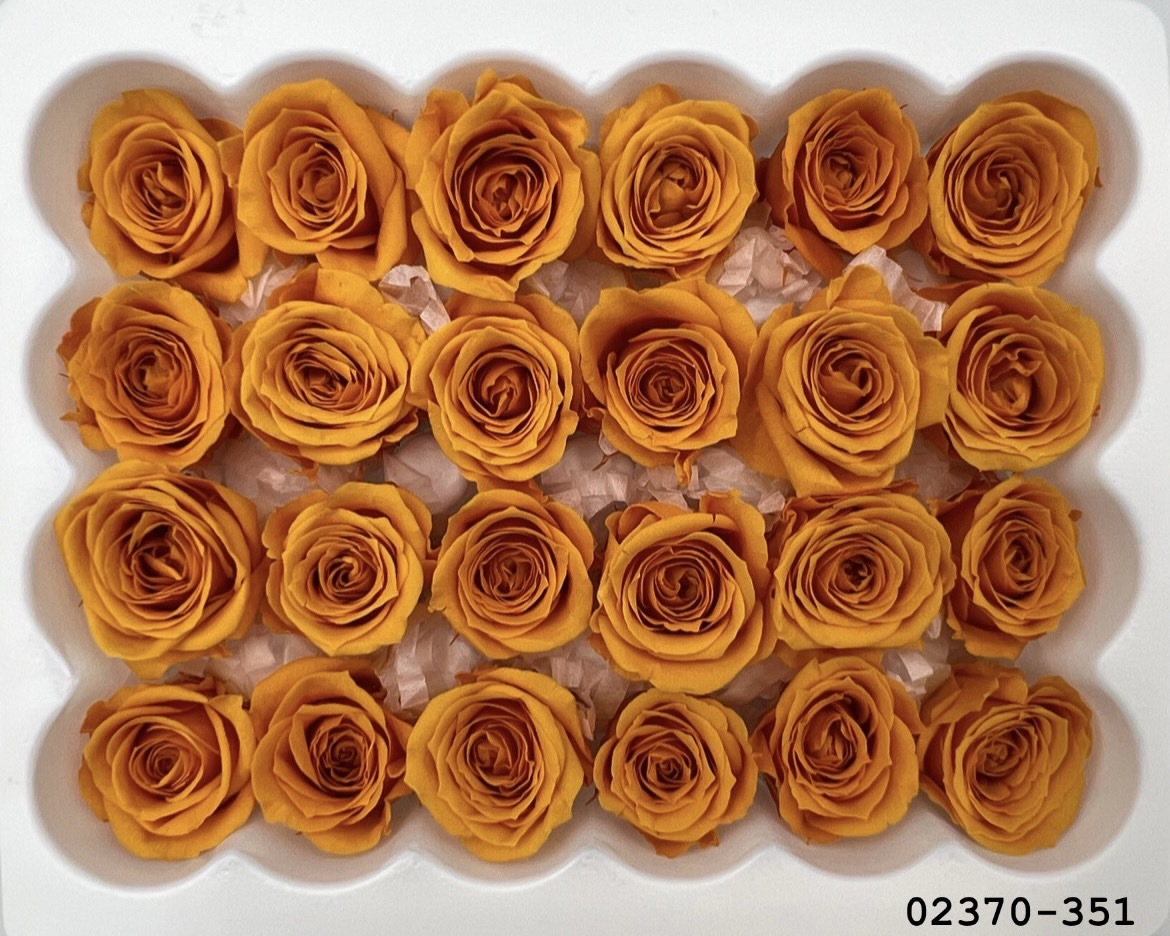 日本不凋迷你玫瑰(24朵) 02370-351