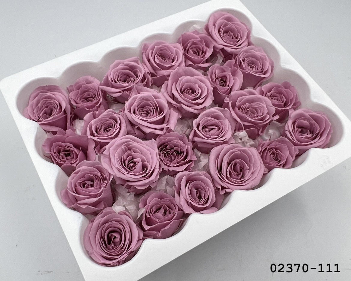 日本不凋迷你玫瑰(24朵) 02370-111