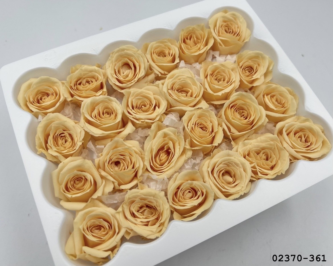 日本不凋迷你玫瑰(24朵) 02370-361
