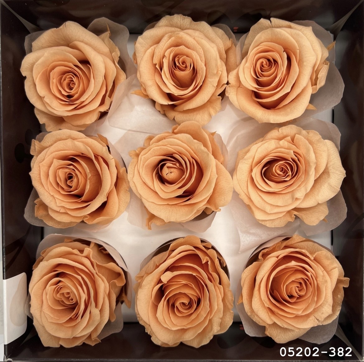 日本不凋大輪玫瑰(M-9朵) 05202-382