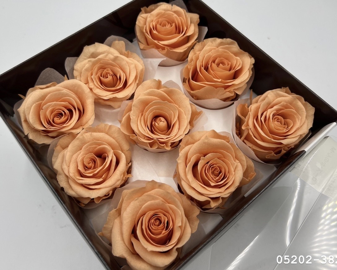 日本不凋大輪玫瑰(M-9朵) 05202-382