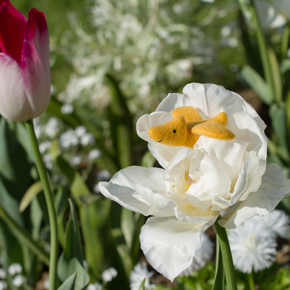 樂洋・好好玩羊毛氈材料包-飛行員翼手龍